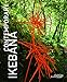Contemporary Ikebana by 