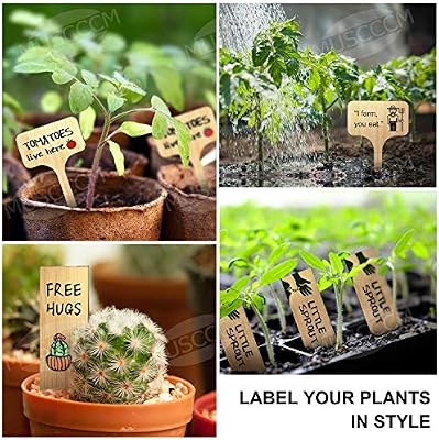 MUSCCCM 100 Piezas Etiquetas de Plantas de Bambú, Letrero de ...