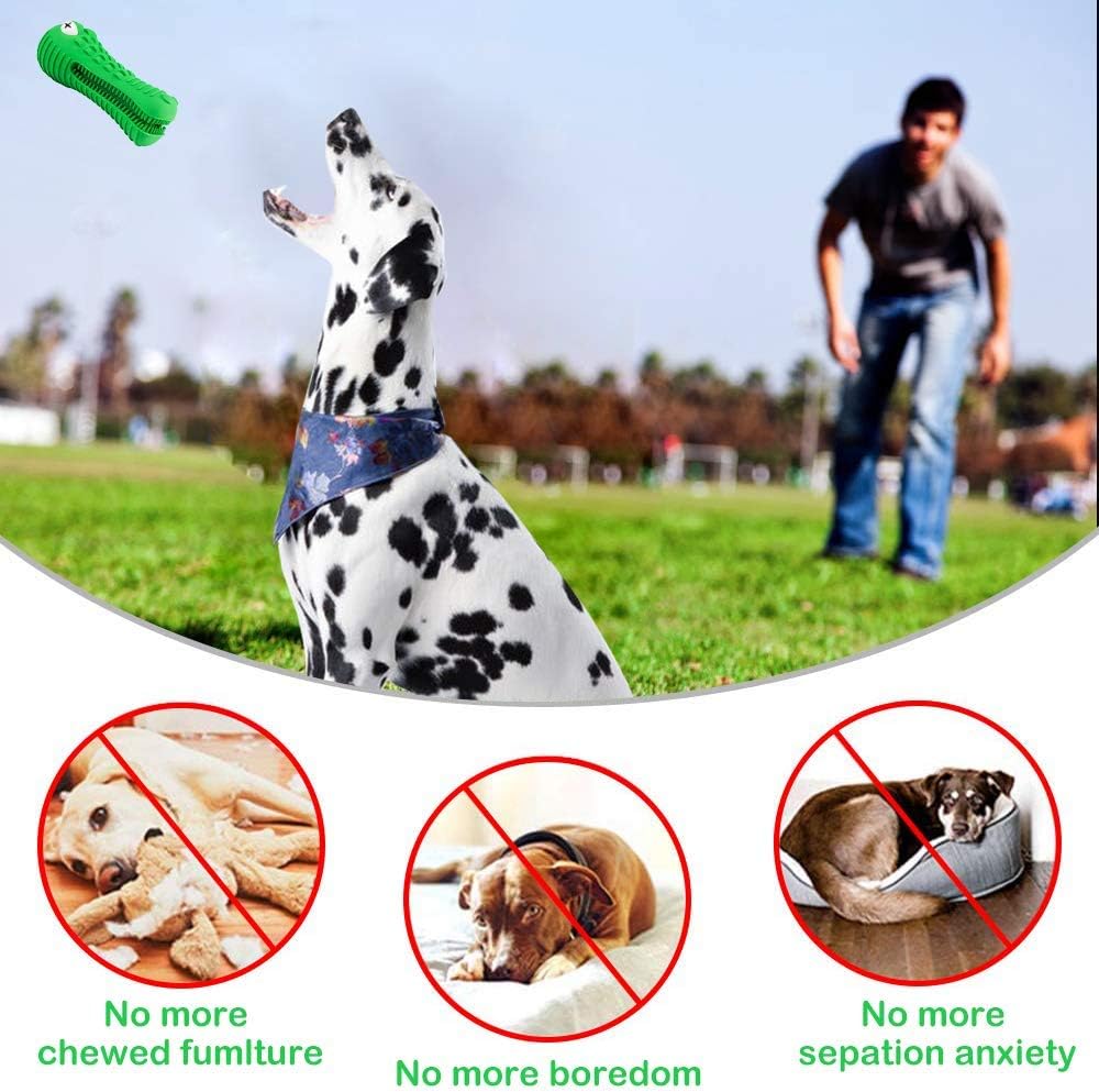 Kitchen & Dining : Dog Chew Toys for Aggressive Chewers Large Breed, RexSoul Dog Toothbrush & Squeaker Chew Toys, Reduces Plaque & Tartar Teeth Cleaning Play Toys Tough Tear-Resistant Durable Dog Toys (Green) : 