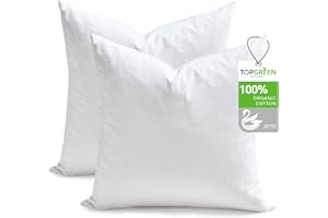 TOPGREEN Feather Down Throw Pillow Inserts 20 x 20, Set of 2, 100% Organic Cotton Shell, Soft Decorative Square Pillows Insert for Living Room Sofa, Couch, or Bed (White)