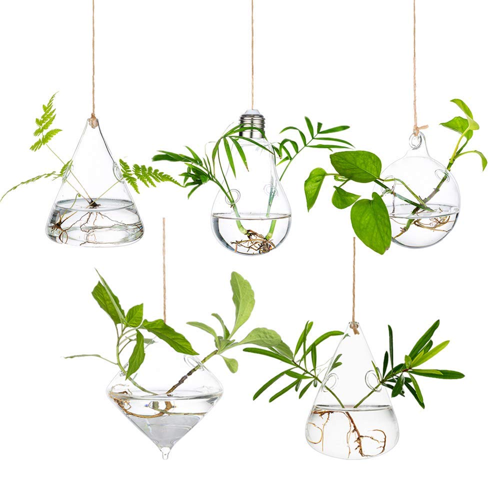 Glass Large Hanging Planters Water Succulent Containers Terrarium Indoor Outdoor 2 Holes 5Pcs/Set with Strings Rope for Home Garden Balcony