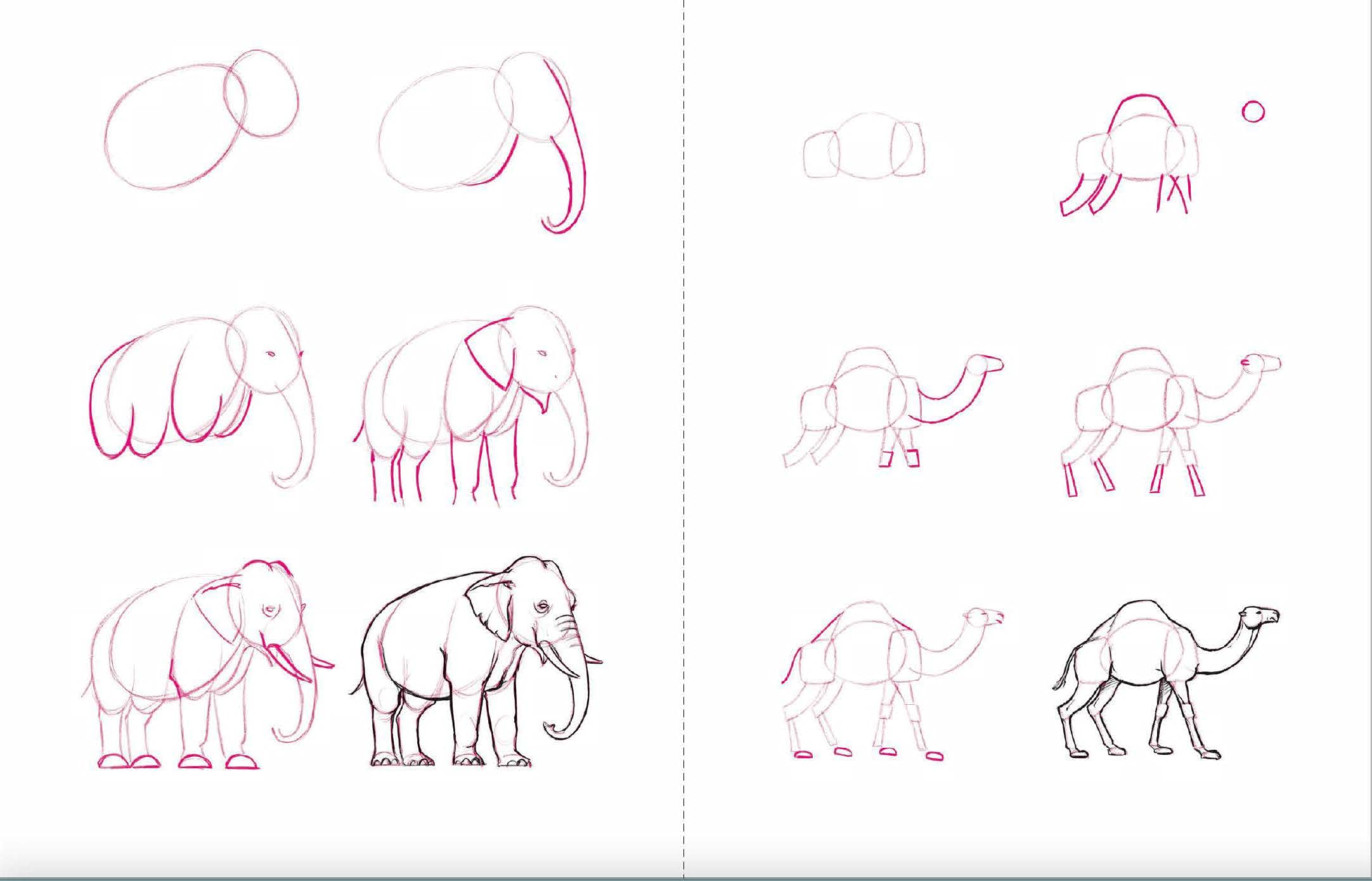 Draw 50 Animals: The Step-by-Step Way to Draw Elephants, Tigers, Dogs, Fish, Birds, and Many More... Draw 50 Animals: The Step-by-Step Way to Draw Elephants, Tigers, Dogs, Fish, Birds, and Many More... Paperback Kindle Spiral-bound School & Library Binding