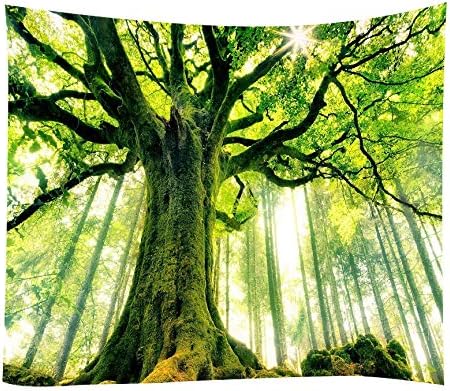 Amknn Forest Tapestry Fantasy Psychedelic Tapestry Fairy Forest Tree Wall Hanging Art Décor Bedroom Living Room (Forest Tapestry style 3, 150x130cm)