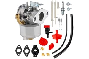 Ferilter Carburetor for Briggs and Stratton 798917 695727 790558 791292 791953 794587 Snow-blowers Engines Carb