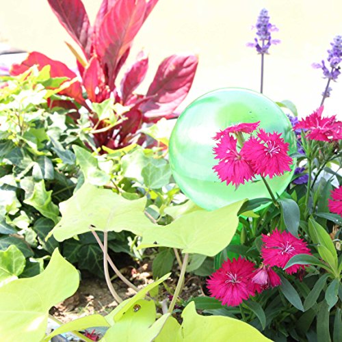 2 Automatic+Watering+Bulb+Gardening+Self+Watering