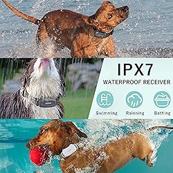 PATPET Dog Shock Collar with Remote - 3 Modes