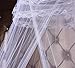 Round Hoop Double Lace Princess Bed Canopy Mosquito Netting Fit Crib Twin Full Queen White