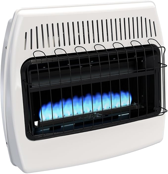 DynaGlo BF30PMDG 30,000 BTU Liquid Propane Blue Flame Vent Free Wall