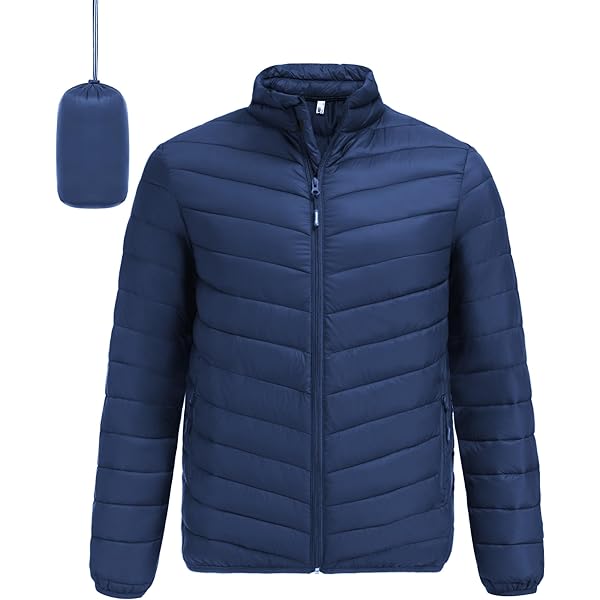 ［todayful］stand collar down jacket NEW THEORY WOMEN'S STAND COLLAR PUFFER DOWN JACKET IN CITY