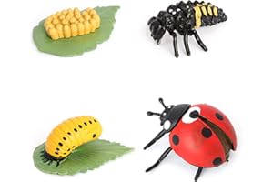 HVOGVOK Ladybug Growth Cycle, Animal Growth Cycle Biological Model, Growth Stage Lifelike Ladybug Life Cycle Model Set for Kids Education Insect Themed Party Favors