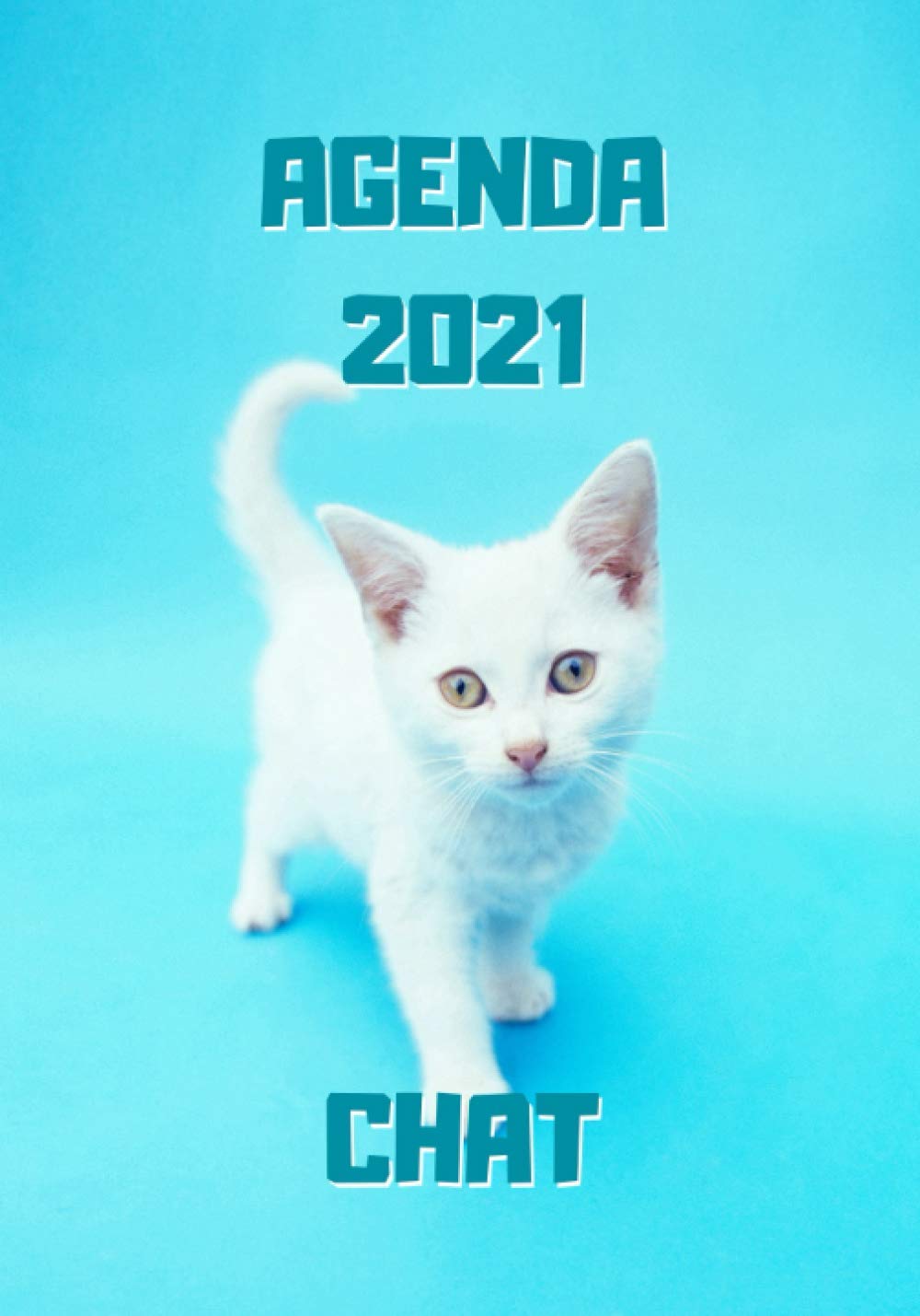 Agenda 21 Chat Chaton Blanc Agenda Semainier 21 Chat 12 Mois Janvier A Decembre 21 Planificateur Semainier 21 114 Pages 17 8 X 25 4 Cm Chat Agenda Amazon Es Libros