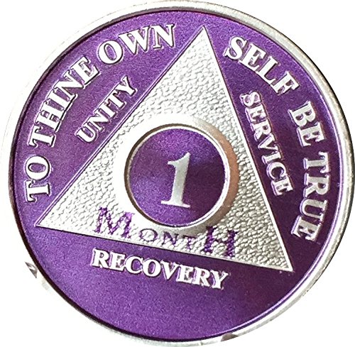 1 Month Purple Silver Plated AA Medallion 30 Day Chip