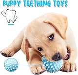 Speedy Panther 6Pcs Dog Toys Small Dogs Puppy Teething Plush Set view 4