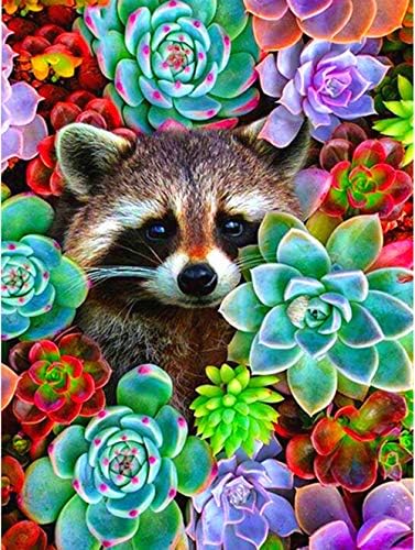 Diamond Portray Succulent Crops by Quantity Kits for Adults DIY 5D Paint with Diamond Artwork Cute Raccoon Full Drill Rhinestone Animal Footage Arts Craft for Dwelling Wall Decor Handmade Reward -12×16 inch