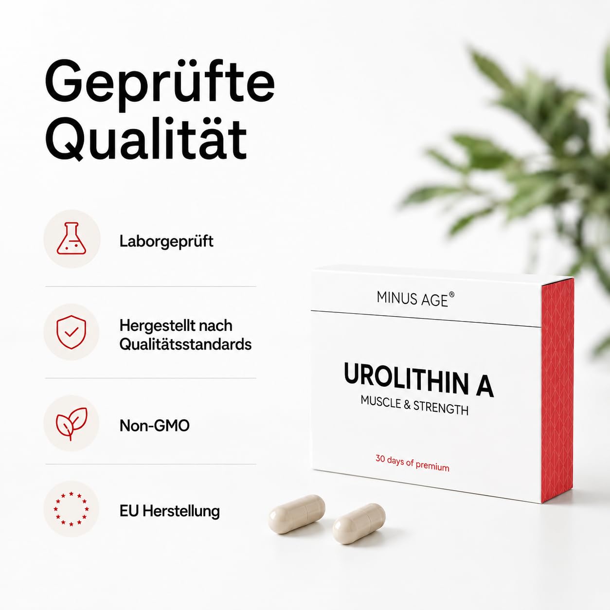 Urolithin A Kapseln 500 mg, 60 vegane Kapseln 3