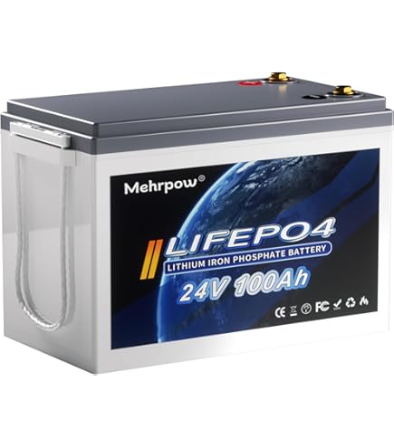 Amazon.com: FLLYROWER 24V Lithium Battery 60AH With BMS and 16500