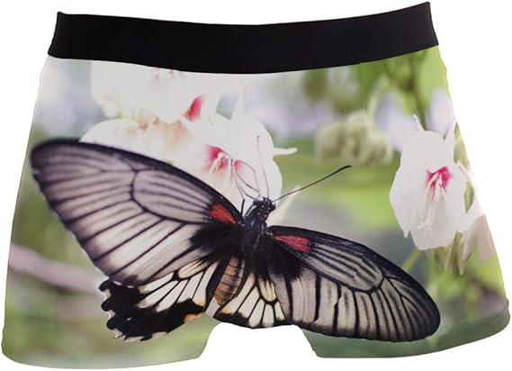 PINLLG Men Boxer Briefs Spring Butterfly Flower Underwear