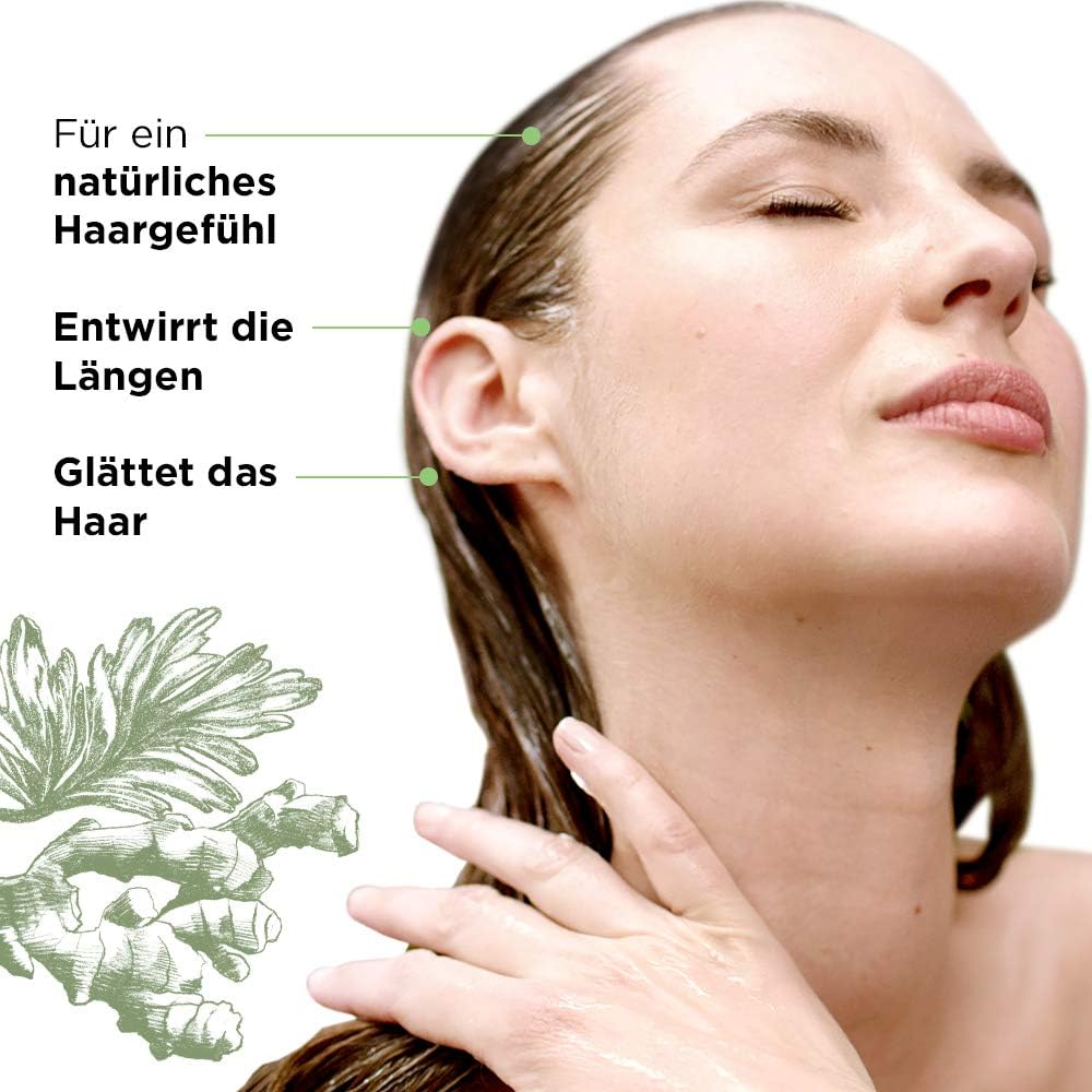 L'Oreal Paris Botanicals Ginger and Coriander Fragile Hair Vegan Conditioner, 200 ml, 200 ml (Pack of 1) - Image 3