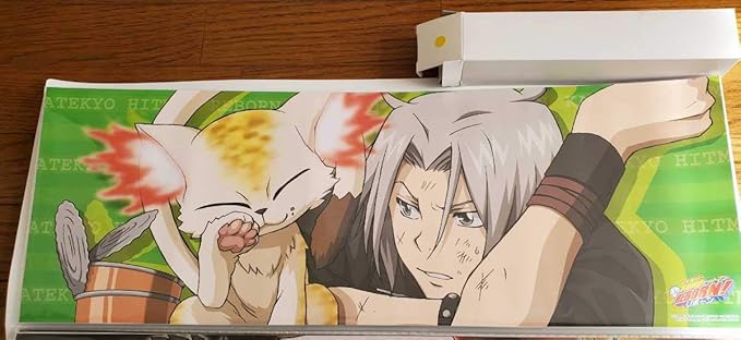 Amazon 家庭教師ヒットマンｒｅｂｏｒｎ リボーン ジャンプフェスタ限定 09 スティックポスター 品 獄寺隼人 瓜 おもちゃ ホビー
