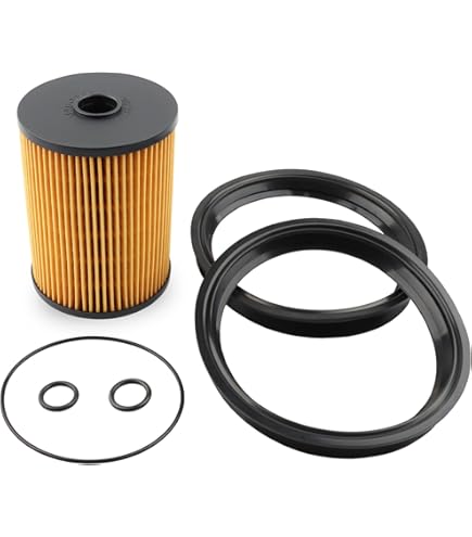 Amazon.com: Fuel Filter Kit, Replace 11252754870 Compatible with