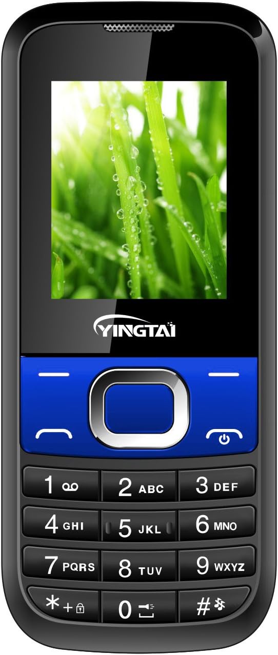 Simple Easy to Use Cell Phone (Blue)