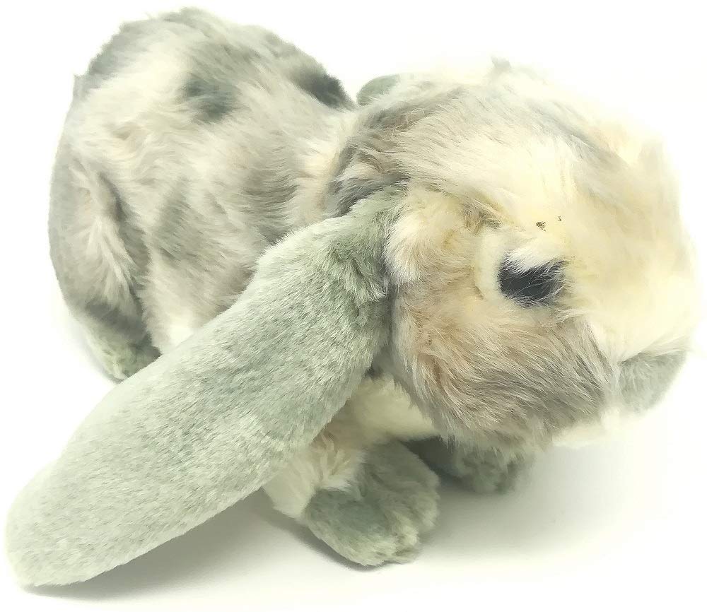 HGL 30cms Plush Rabbit Soft Toy - One Colour Sent at Random