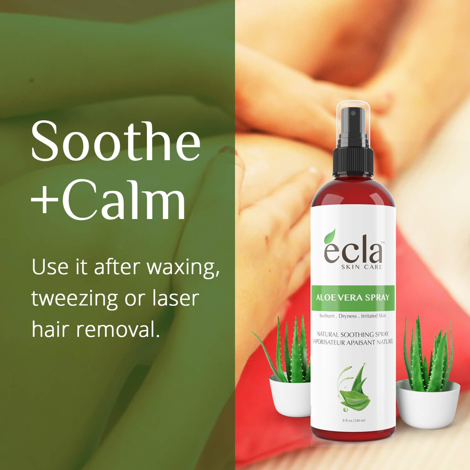 Aloe Vera Spray Mist for Face Body and Hair - Made in Canada with Organic Real Juice (Not Powder) and Seaweed 8 Oz - 240ml Natural Formula Toner to Moisturize and Rebalance Skin and Relieve Sunburns