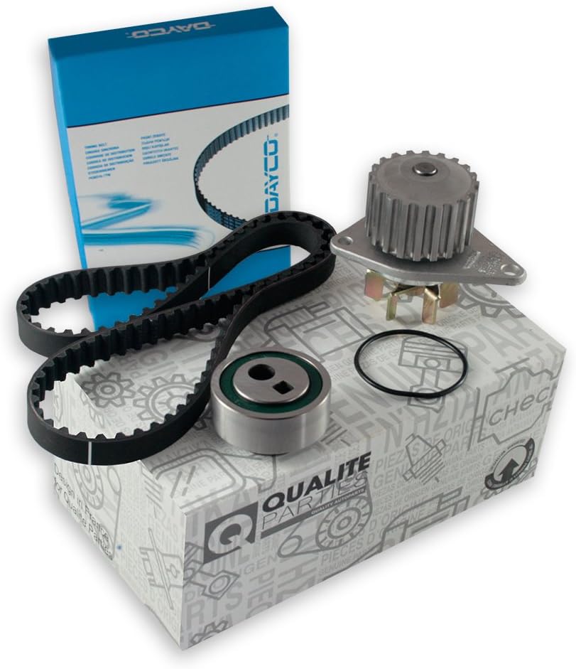 Dientes correa de distribución BOMBA DE AGUA: Amazon.es ...