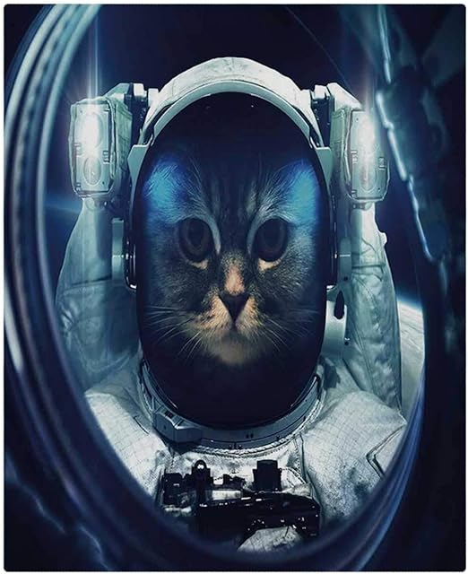 Amazon Com C Coaballa Space Cat Comfortable Duvet Cover Kitty In