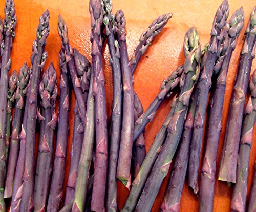 Purple Passion Asparagus Plants Crowns Roots Bare Root 50 Ea