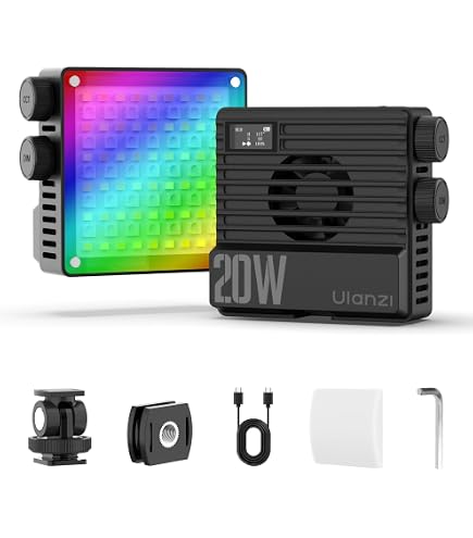 Amazon.com : Sony HVL-20DW2 Video Light for use with DCRVX2100