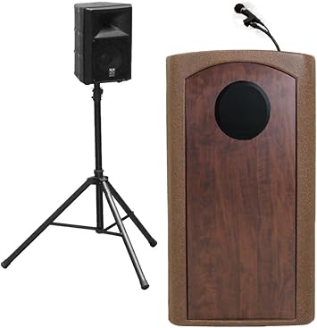 speaker dan mic wireless