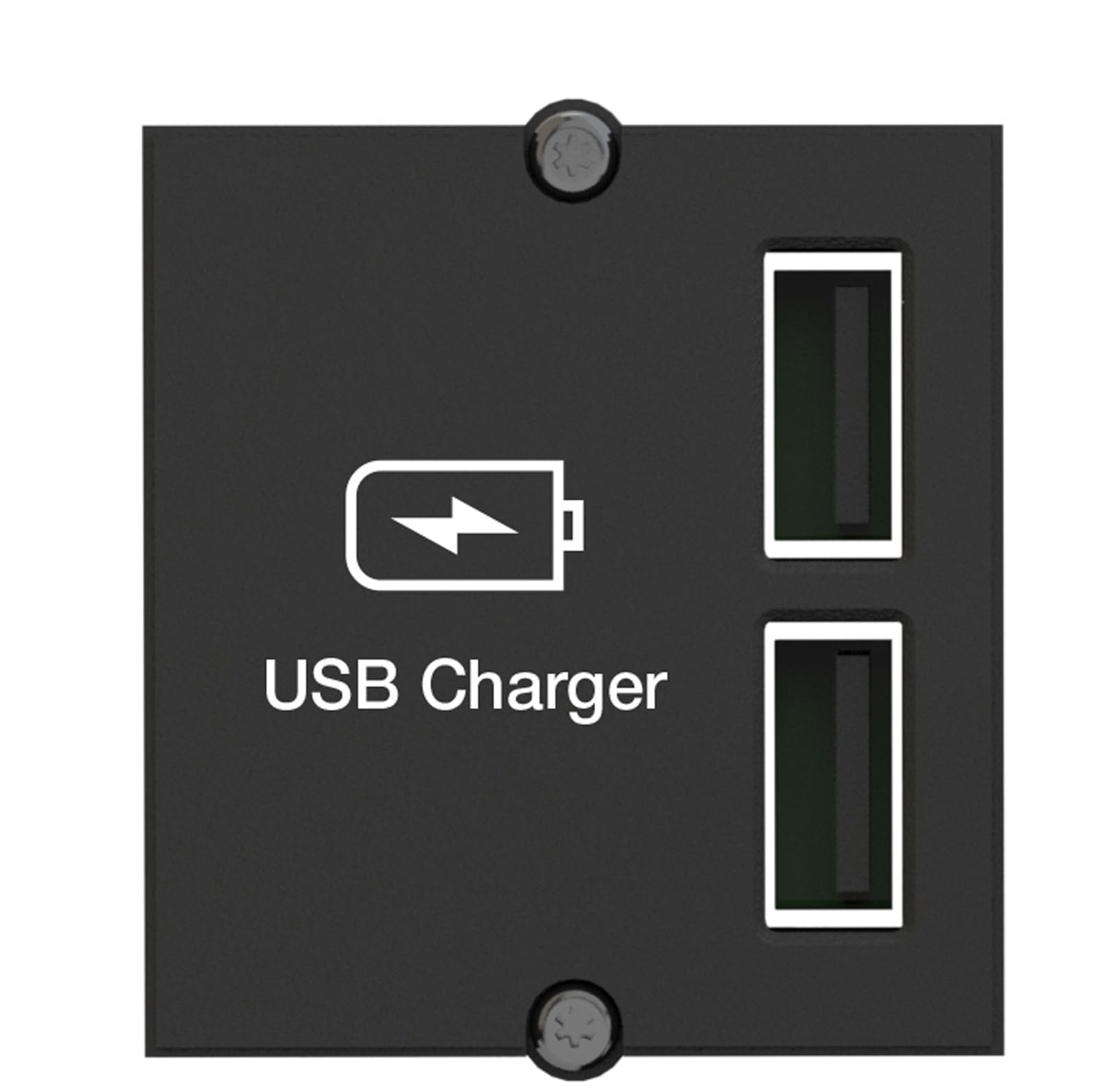 Bachmann 917.224 Custom Module USB Charger