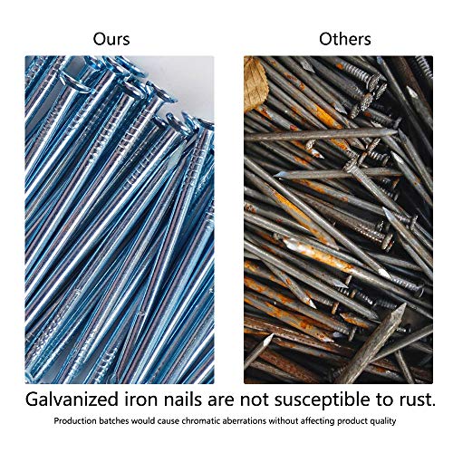 3 Coceca+Hardware+Assortment+Galvanized+Nails