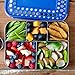 LunchBots Large Cinco Stainless Steel Lunch Container - Five Section Design Holds a Variety of Foods - Metal Bento Box - Dishwasher Safe - Stainless Lid - Blue Dots