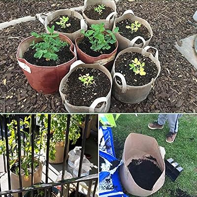 PEYOU Bolsa de Cultivo de Plantas 20L(5 Piezas), Saco para Plantas ...