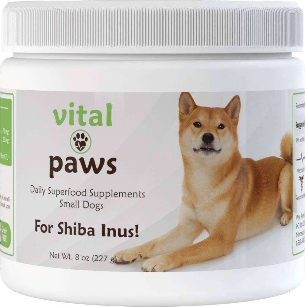 Shiba Inu Dog Breed Information