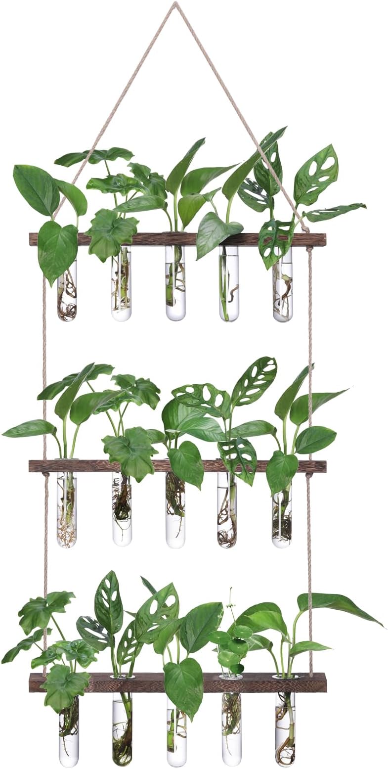 XXXFLOWER Wall Hanging Propagation Station with 15 Test Tubes