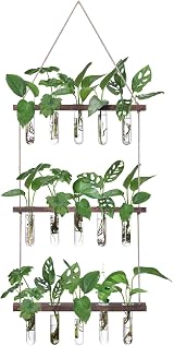 XXXFLOWER Wall Hanging Propagation Station with 15 Test Tubes