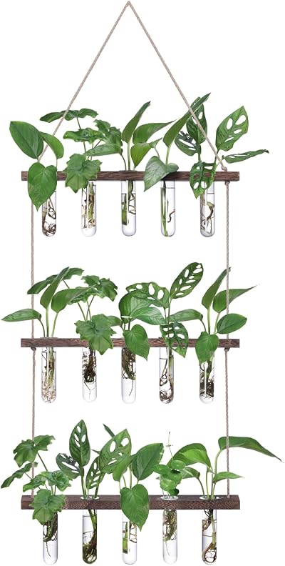 XXXFLOWER Wall Hanging Propagation Station with 15 Test Tubes