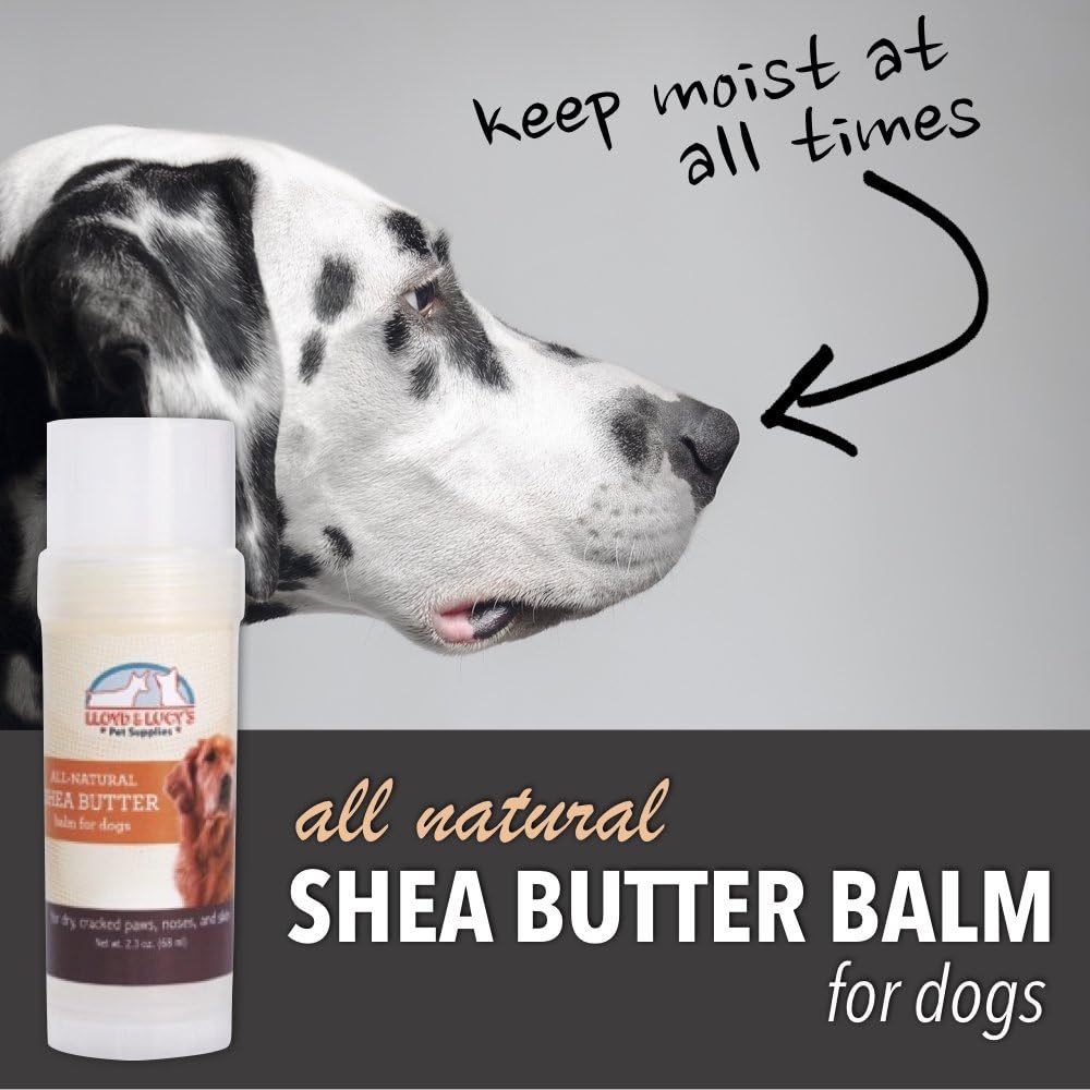 shea butter on dogs paws