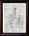 Fresh Prints of CT Human Lungs - Dictionary Art Print Printed On Authentic Vintage Dictionary Book Page - 8 x 10.5