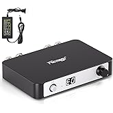 Facmogu M9 Stereo Audio Amplifier, 300W Home 2 Channel Wireless Bluetooth 5.0 Power Amp w/24V Adapter, TPA3255 300W x 2 Class D Stereo Digital Amplifier with DSP for Wired Speakers, Home Audio System