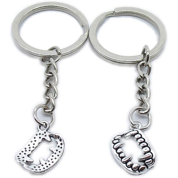 Amazon.com: 5 Pieces Metal Antique Silver Color Keychains Keyrings