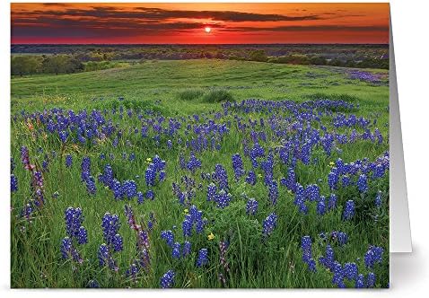 Note Card Café All Occasion Greeting Cards – 24 Pack - Unique Wildflowers at Sunset Design – OFF WHITE IVORY ENVELOPES INCLUDED – Blank Greeting Card – Glossy Cover Blank Inside