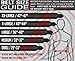 SERIOUS STEEL FITNESS 10MM Double Prong Lifting Belt - Medium