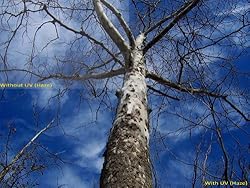 See UV (Haze) 1A Multicoated | Multithreaded Glass Filter (67mm) For Nikon COOLPIX P900 Details