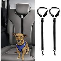 amazon articulos para perros