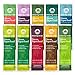 Amazing Grass Green Superfood Variety Pack: 8 Ounce (10 Count) primary