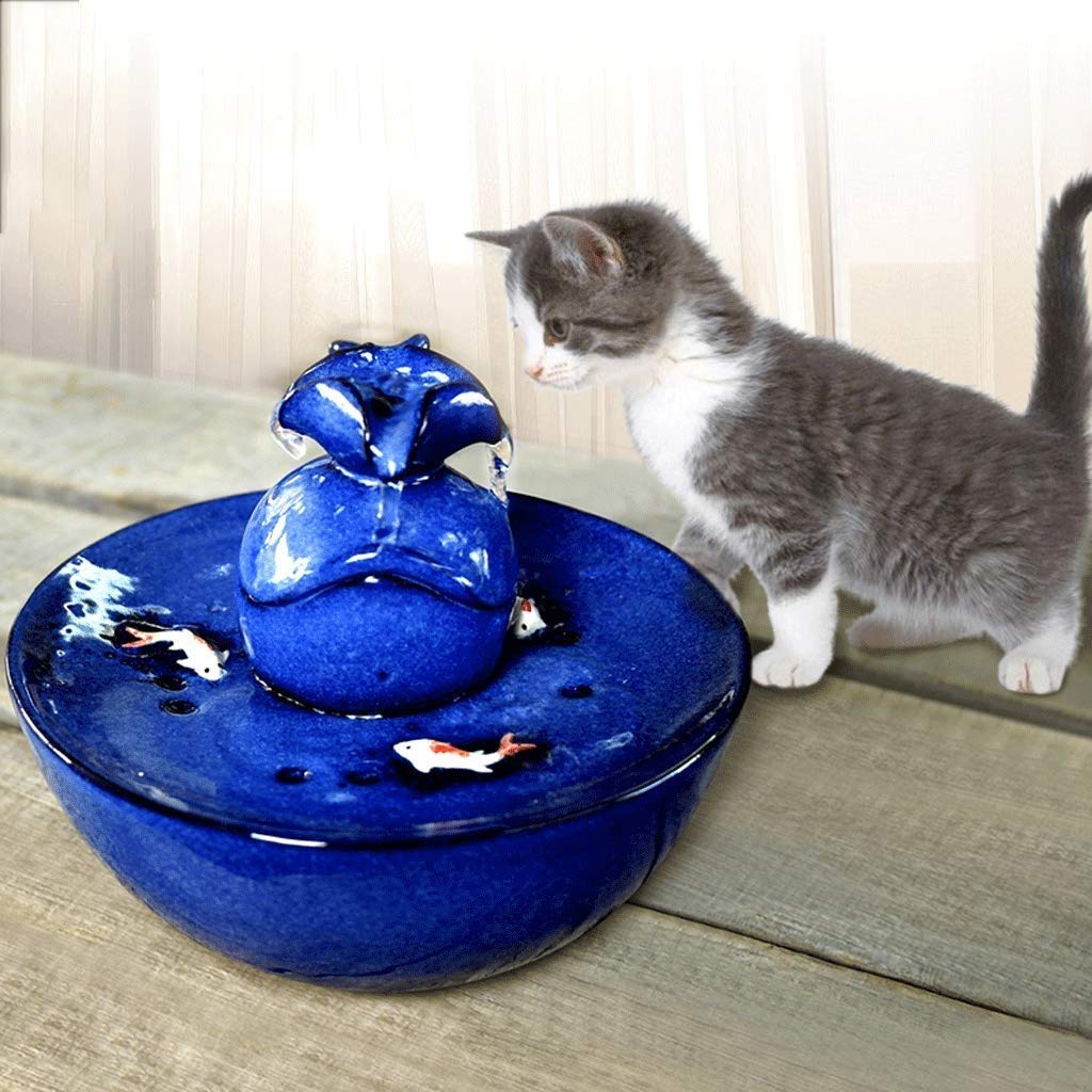 trinkbrunnen katze futterhaus